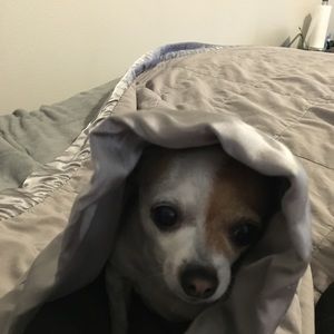 Meet your Posher, Nancy